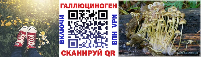 Галлюциногенные грибы GOLDEN TEACHER купить наркотик Собинка